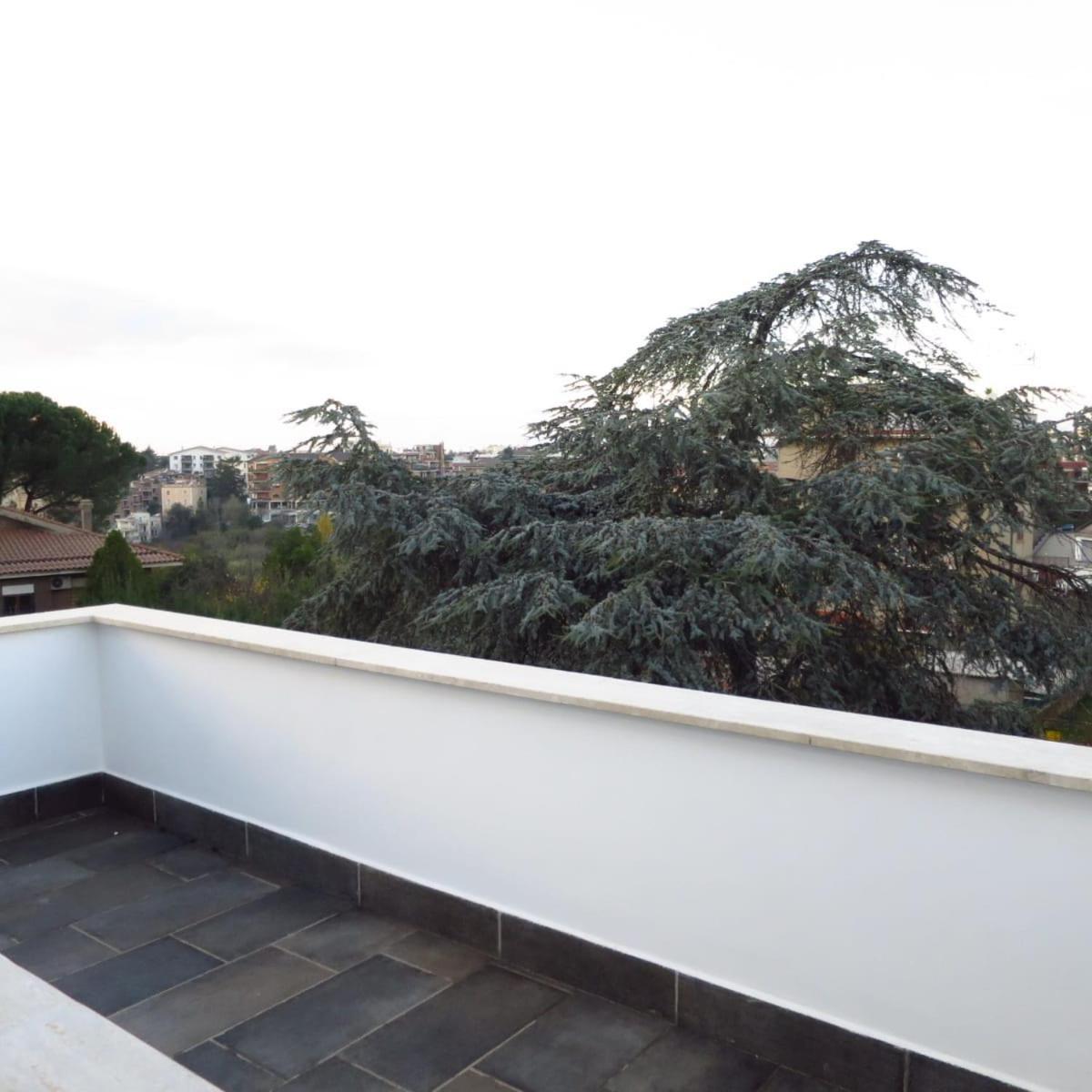 Casa Dolly Vatican Hotell Rom Exteriör bild